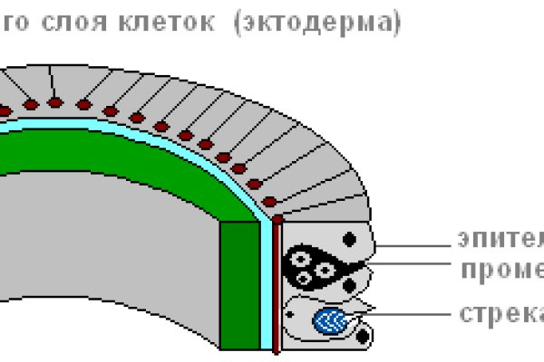 Даркнет кракен отзывы о платформе