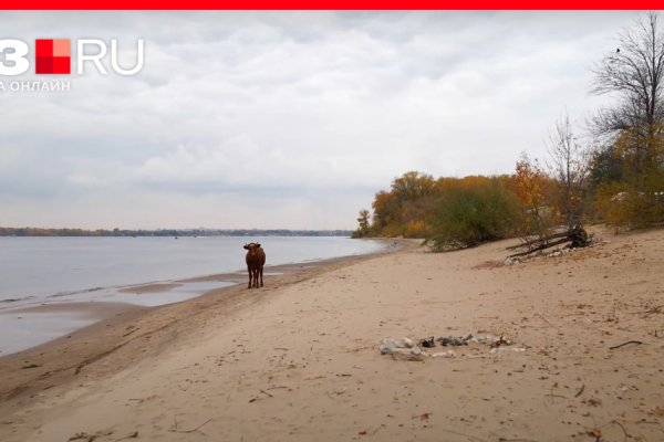 Кракен наркошоп ссылка