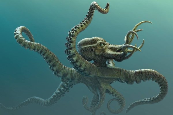 Kraken это современный маркетплейс